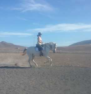 Anja & PRE Caribeño mit Iberosattel