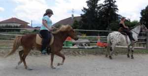 El Primero à cheval islandais en France