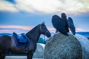 Danke an Aline und René vom Equus - Team