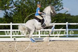 Evelyn Schloßhahn-Wiedner - www.gunnarwiedner.de, Reitlehrer Schule der Lègèretè