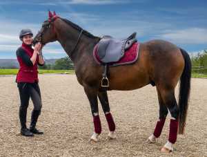 M. Tabertshofer - Dressage Andaluz