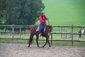 Ibero Barock auf Quarter Horse