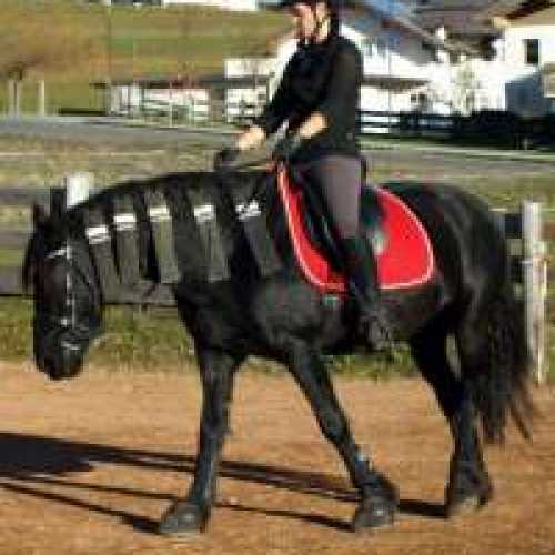 Tanja St. auf Friesin Anja mit Dressage Andaluz