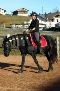 Sattel Dressage Andaluz auf Friesin Anja