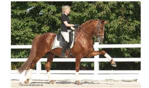 Evelyn Schloßhahn-Wiedner - www.gunnarwiedner.de, Reitlehrer Schule der Lègèretè