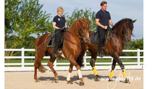 Evelyn Schloßhahn-Wiedner und Gunnar Wiedner - www.gunnarwiedner.de, Reitlehrer Schule der Lègèretè