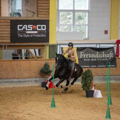 Lisa E. mit Iberosattel® auf PRE Gorrion bei der Working Equitation