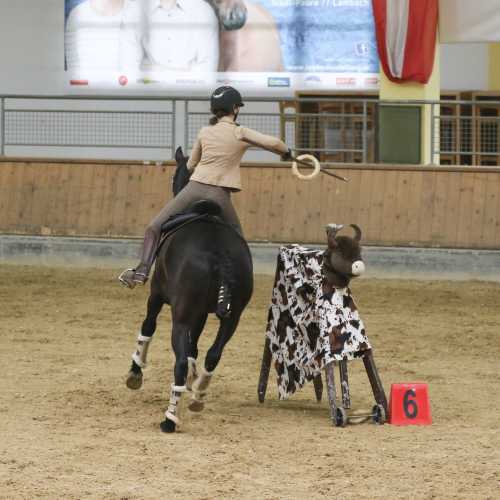 Lisa E. mit Iberosattel® auf PRE Gorrion bei der Working Equitation