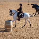 Lisa beim internationalen Start in Stadl Paura mit Alpha Vaquero