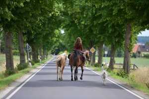 Sarah Pruß mit Iberosattel® - Fototermin mit der Zeitschrift BILD der Frau - Fotograf: Henning Scheffen