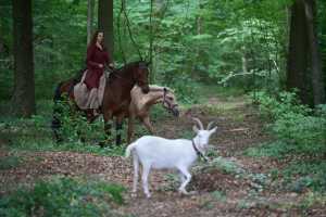 Sarah Pruß mit Iberosattel® - Fototermin mit der Zeitschrift BILD der Frau - Fotograf: Henning Scheffen