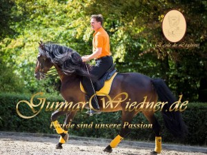 Gunnar Wiedner avec Iberosattel® - Les chevaux sont notre passion