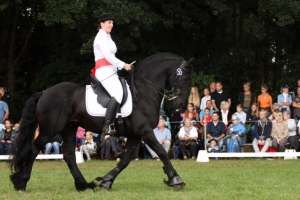 Kristin Bode Friesenhengst Gorryt mit Andaluz Dressage