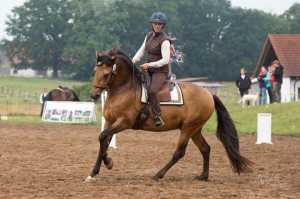 Susanne Schnell auf Tamino (Working Equitation)