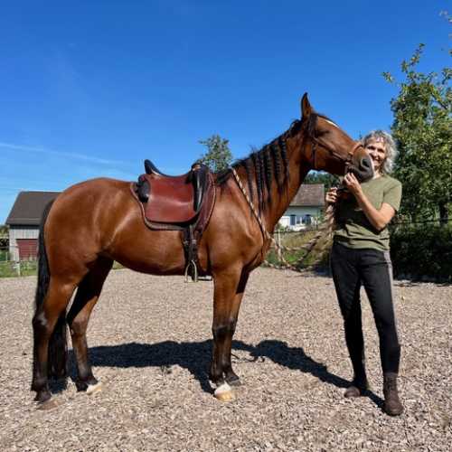 Christin S. med Alpha Vaquero på Berber/Araber-hoppen Flifla.