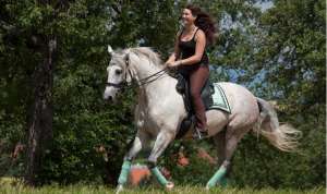 Laura Stolp mit dem Dressage Andaluz - fotografiert von Sandra Dollinger 