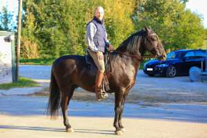 Holger M. with Bolero and saddle Amazona Dressage Comfort 3000