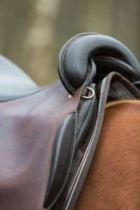 Quarter Horse Luke mit Iberosattel® - Fotografin: Sandragrafie