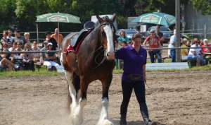 Shire Sunshine und Sigrid Warnke