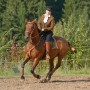 Working Equitation mit Iberosattel