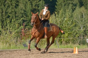 Working Equitation mit Iberosattel