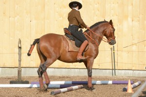 Working Equitation mit Iberosattel