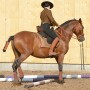 Working Equitation mit Iberosattel