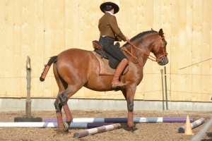 Working Equitation avec Iberosattel
