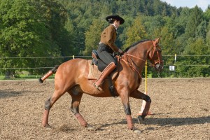 Working Equitation mit Iberosattel